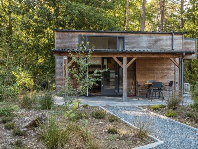 Chalet Vakantiepark De Wiltzangh - Tiny Borg - Environment photo 12