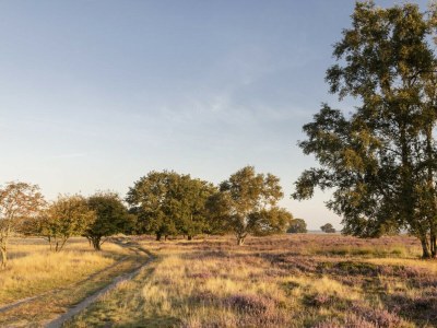 Chalet Vakantiepark De Wiltzangh - Tiny Borg - Environment photo 13