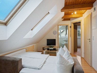 Apartment Attic Apartment with Garden Access - Features photo 9