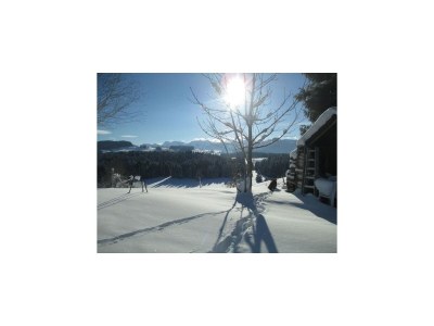 Apartment Lingg Oberberg Comfortable Vacation Home - Outdoor photo 8