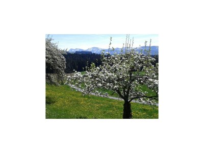 Apartment Lingg Oberberg Comfortable Vacation Home - Outdoor photo 15