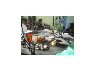 Apartment Lingg Oberberg Comfortable Vacation Home - Outdoor photo 17