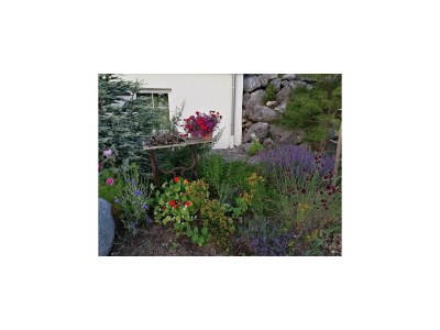 Apartment Lingg Oberberg Comfortable Vacation Home - Outdoor photo 22