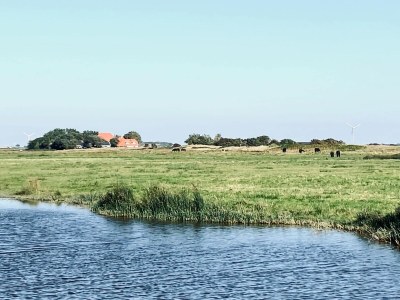 Holiday house Authentic cosy beach cottage in Callanstoog - Environment photo 32