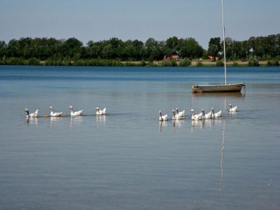 Holiday house Charming forest house surrounded by a garden - Environment photo 15