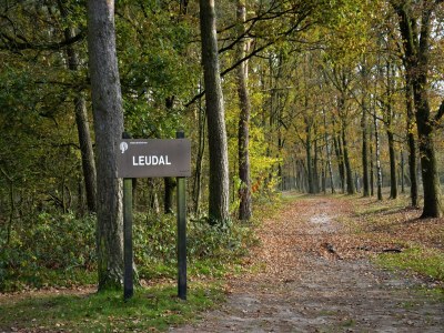 Holiday house Charming forest house surrounded by a garden - Environment photo 17
