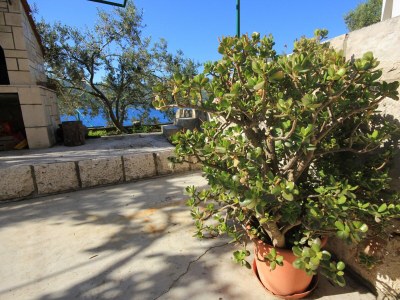 Apartment One bedroom apartment near beach Tri Žala, Korčula A-174-b - Outdoor photo 11