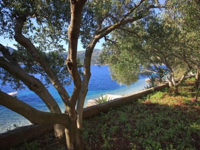 Apartment Two bedroom apartment near beach Tri Žala, Korčula A-174-d - Outdoor photo 8