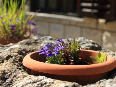 Apartment Two bedroom apartment near beach Tri Žala, Korčula A-174-d - Outdoor photo 12