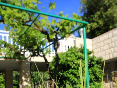 Apartment Two bedroom apartment near beach Tri Žala, Korčula A-174-d - Outdoor photo 13