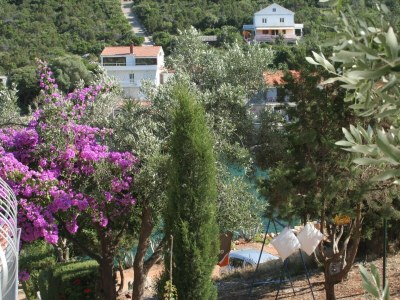 Apartment Two bedroom apartment near beach Cove Zarace (Gdinj), Hvar A-4598-b - Outdoor photo 28