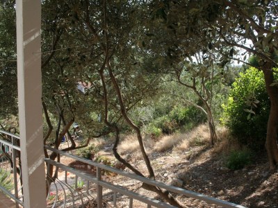 Apartment Two bedroom apartment near beach Cove Zarace (Gdinj), Hvar A-4598-b - Outdoor photo 29