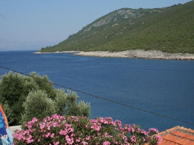 Apartment Two bedroom apartment near beach Cove Zarace (Gdinj), Hvar A-4598-b - Outdoor photo 32