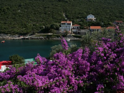 Apartment Two bedroom apartment near beach Cove Zarace (Gdinj), Hvar A-4598-b - Outdoor photo 33