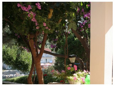 Apartment Two bedroom apartment near beach Cove Zarace (Gdinj), Hvar A-4598-c - Outdoor photo 10