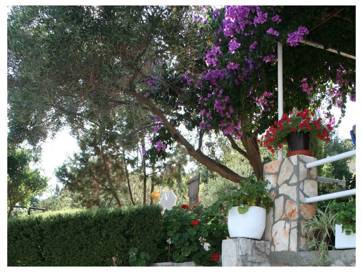 Apartment One bedroom apartment near beach Cove Zarace (Gdinj), Hvar A-4598-d - Outdoor photo 4