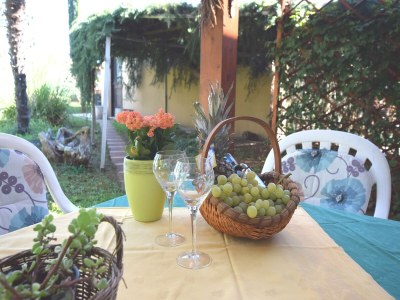 Holiday house Spacious Holiday Home in Verteneglio - Outdoor photo 39