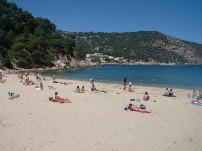 Chalet Hütte in Camping Solmar mit Terrasse - Environment photo 22