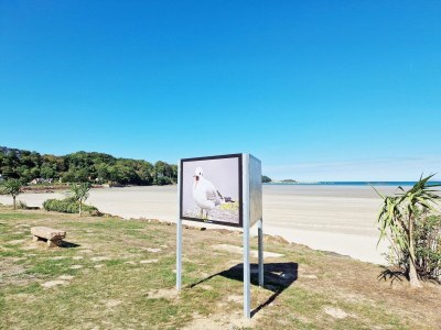 Holiday house Charmantes Haus im Herzen des Dorfes - Environment photo 29