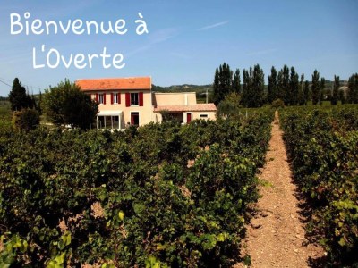 Holiday house Ferienhaus in Rasteau mit privatem Pool - Environment photo 40