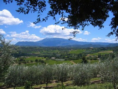 Holiday house House in Vaison-la-Romaine with Pool - Environment photo 20