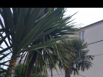 Villa Villa Marija - Five Bedroom Villa with Terrace and Swimming Pool - Outdoor photo 7