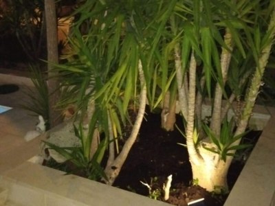 Villa Villa Marija - Five Bedroom Villa with Terrace and Swimming Pool - Outdoor photo 9