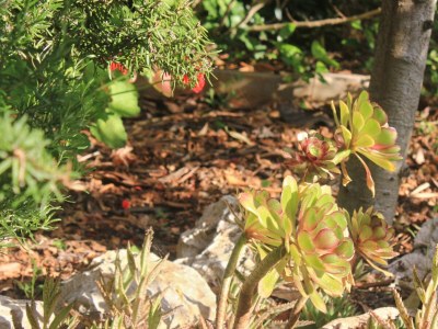 Apartment One bedroom apartment with terrace Kučište - Perna, Pelješac A-4629-a - Outdoor photo 10