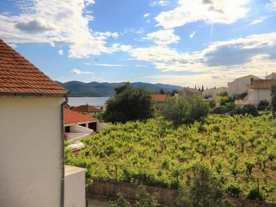 Apartment One bedroom apartment with terrace and sea view Kučište - Perna, Pelješac A-4629-b - Outdoor photo 22