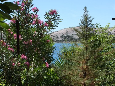 Apartment Three bedroom apartment near beach Stara Novalja, Pag A-6390-a - Outdoor photo 7