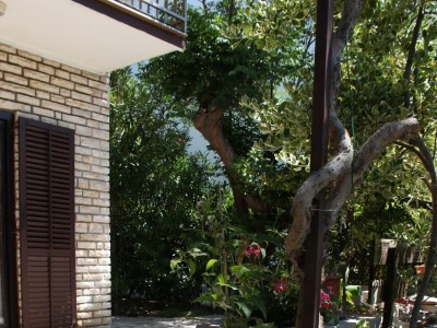 Apartment Three bedroom apartment near beach Stara Novalja, Pag A-6390-a - Outdoor photo 10