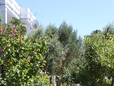 Apartment Three bedroom apartment near beach Stara Novalja, Pag A-6390-a - Outdoor photo 11