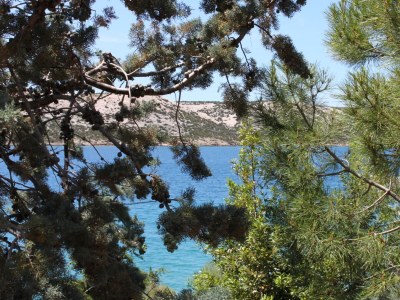 Apartment Three bedroom apartment near beach Stara Novalja, Pag A-6390-a - Outdoor photo 39