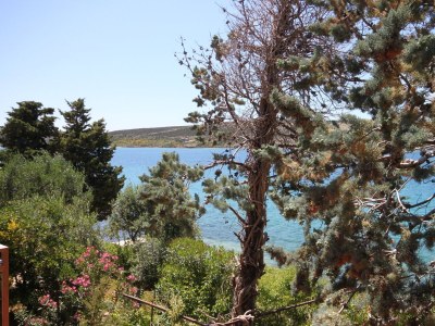 Apartment Three bedroom apartment near beach Stara Novalja, Pag A-6390-a - Outdoor photo 42