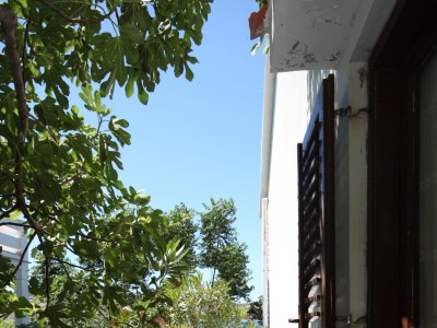 Apartment Three bedroom apartment near beach Stara Novalja, Pag A-6390-a - Outdoor photo 44