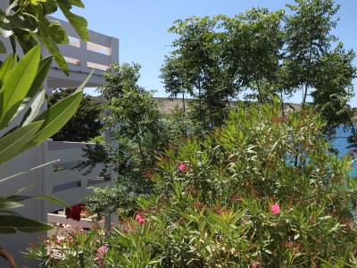 Apartment Three bedroom apartment near beach Stara Novalja, Pag A-6390-a - Outdoor photo 46