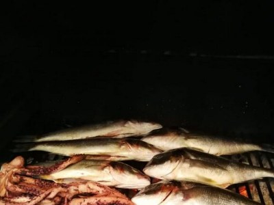 Apartment Three bedroom apartment with terrace and sea view Nečujam, Šolta A-13884-a - Outdoor photo 8