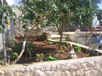 Apartment One bedroom apartment with terrace and sea view Lumbarda, Korčula A-18037-b - Outdoor photo 4