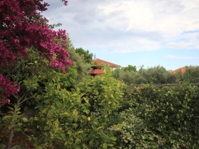 Apartment One bedroom apartment with terrace Kučište - Perna, Pelješac A-4538-f - Outdoor photo 23