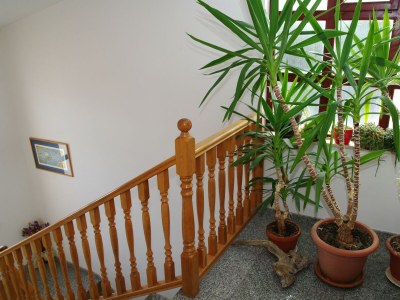 Apartment One bedroom apartment with balcony and sea view Privlaka, Zadar A-19393-b - Outdoor photo 7