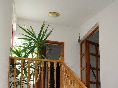 Apartment One bedroom apartment with balcony and sea view Privlaka, Zadar A-19393-b - Outdoor photo 8