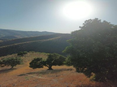 Holiday house Ferienhaus in Canillas am Strand - Environment photo 35