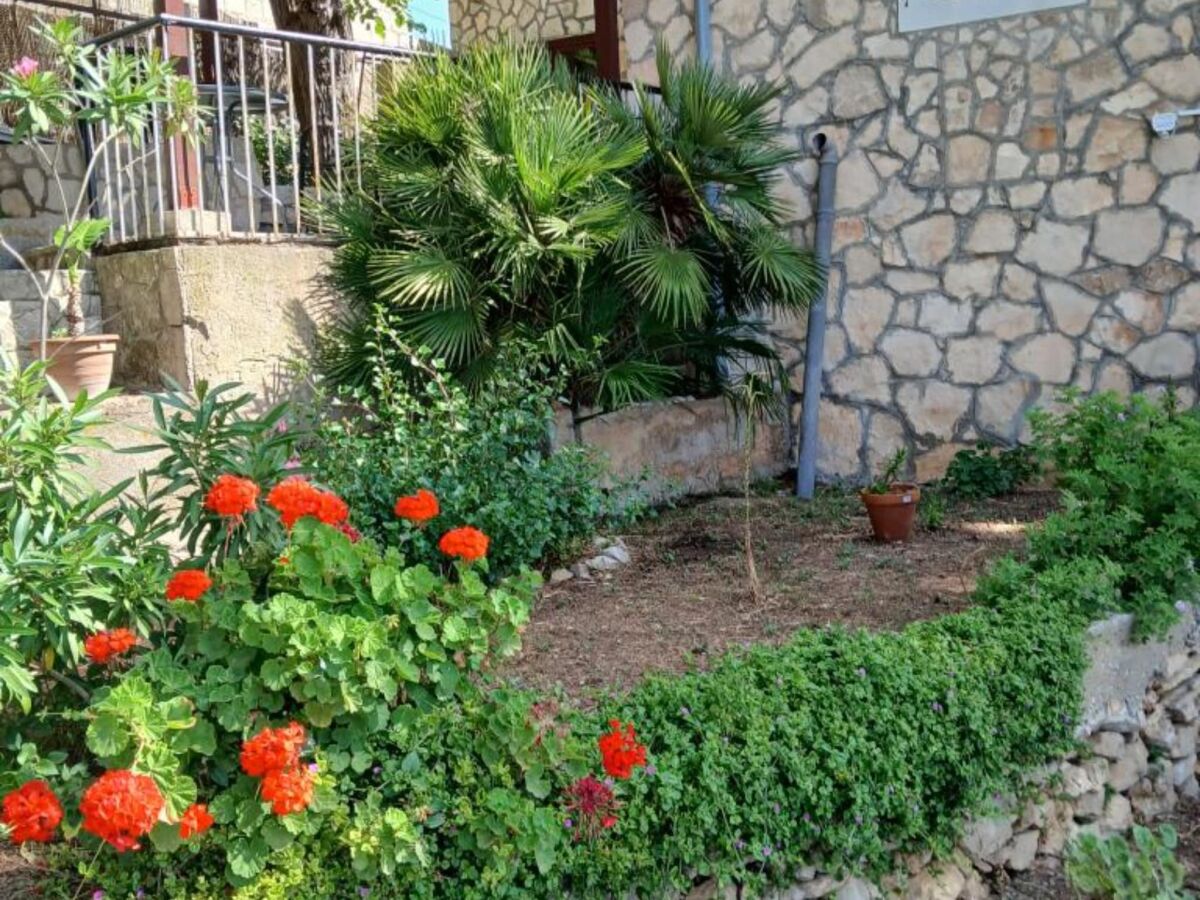 Apartment Studio Apartment with Terrace - Outdoor photo 3