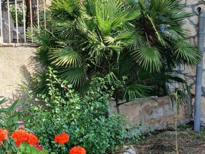 Apartment Studio Apartment with Terrace - Outdoor photo 5