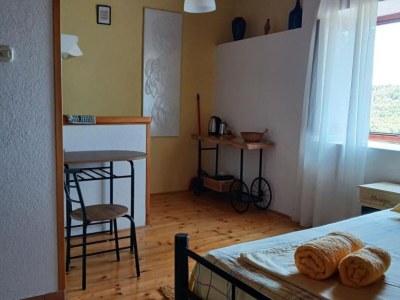 Apartment Studio Apartment with Terrace - Features photo 11