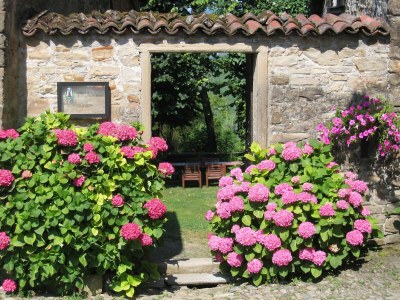 Castle Guest House in Monferrato with Wine Tasting - Outdoor photo 13