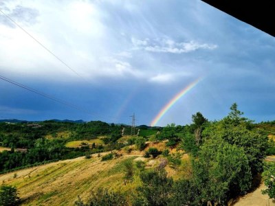 Castle Guest House in Monferrato with Wine Tasting - Environment photo 30