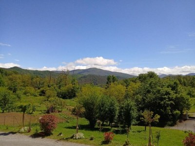 Castle Guest House in Monferrato with Wine Tasting - Environment photo 32