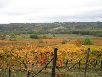 Castle Gästehaus in Monferrato mit Weinverkostung - Environment photo 16