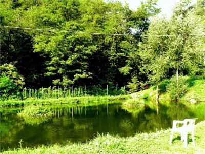 Castle Gästehaus in Monferrato mit Weinverkostung - Environment photo 18